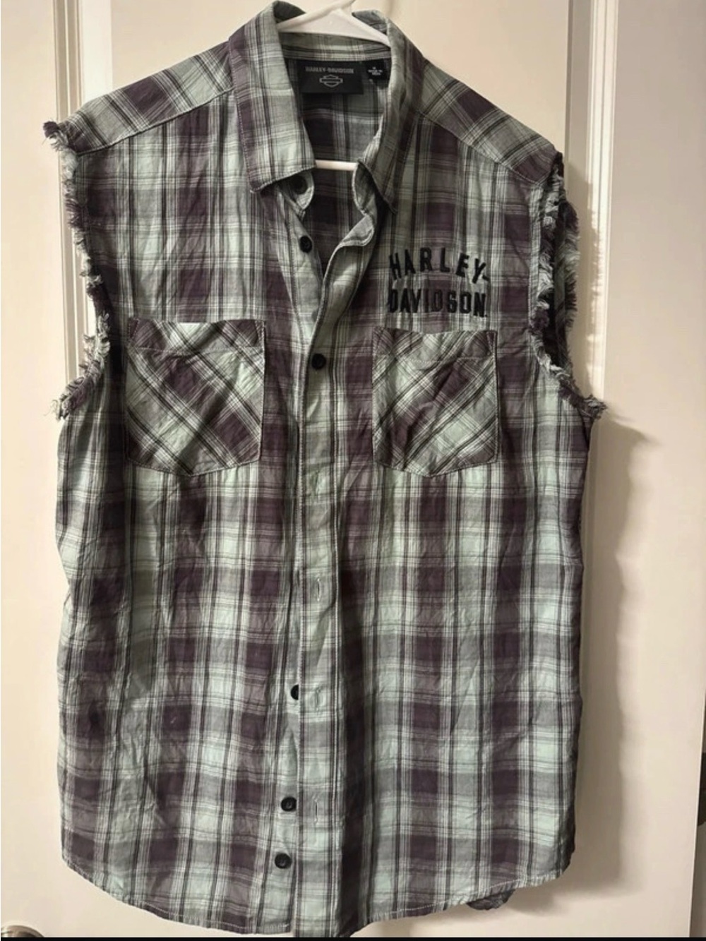 Harley-Davidson Men's Sleeveless Plaid Button-Up Shirt - Mint Green & Plum